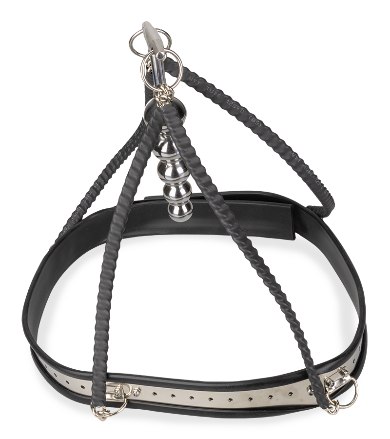 Anal-Keuschheitsgürtel Taken