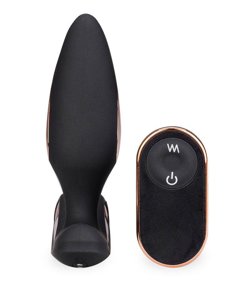 Analplug mit Vibration und Estim und Cockring Fever