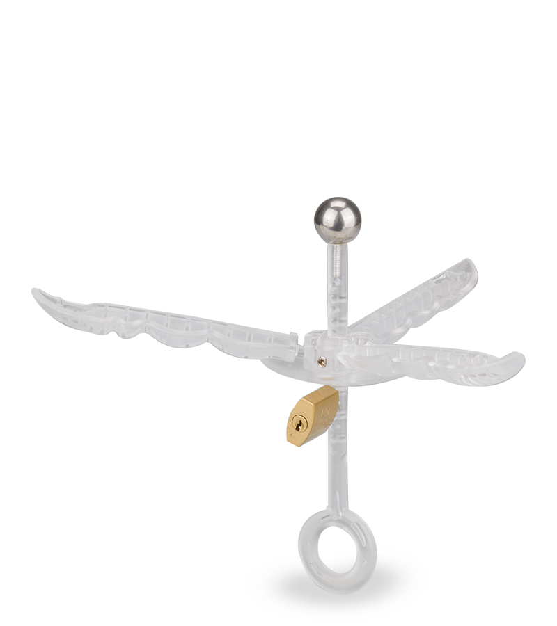 Analspreizer mit Schloss Pusher