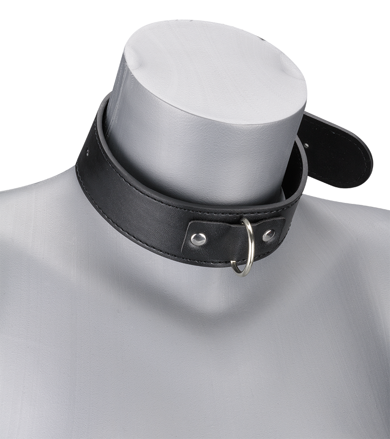 BDSM-Halsband und -Leine