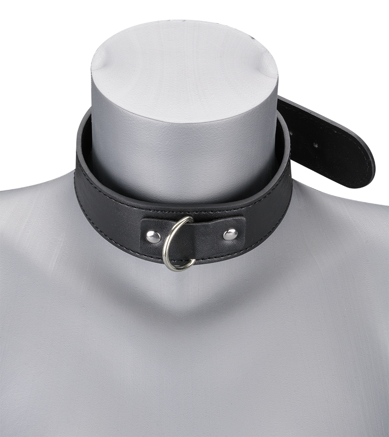 BDSM-Halsband und -Leine