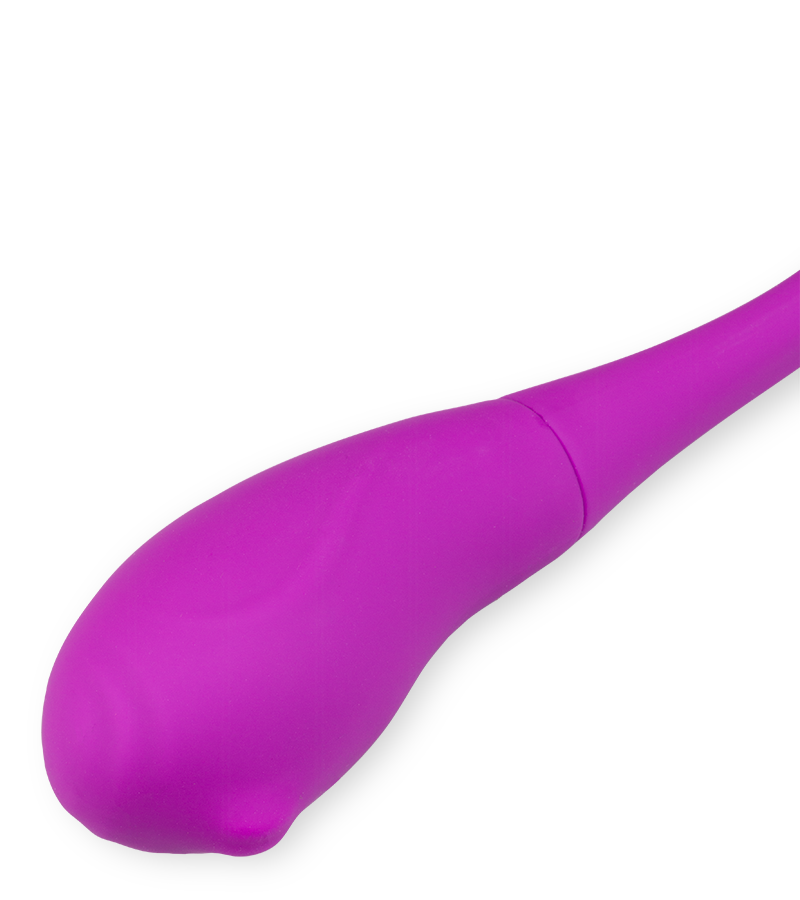 Doppel-Vibroei Bulbi