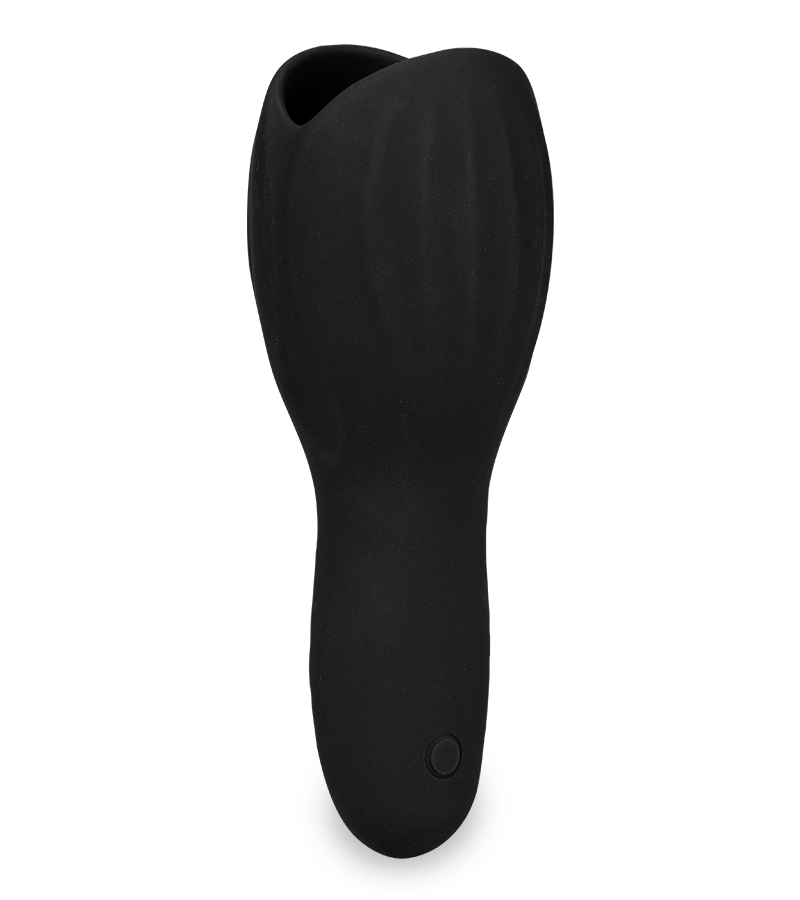 Eichelvibrator Bingo