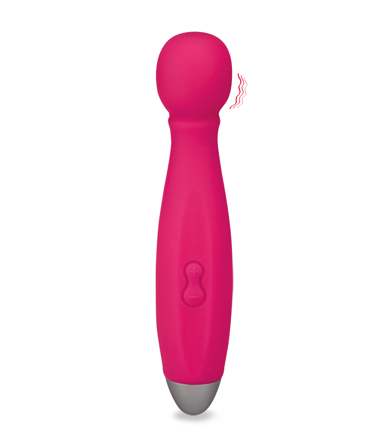 Fantasy Wand Vibrator Bowling