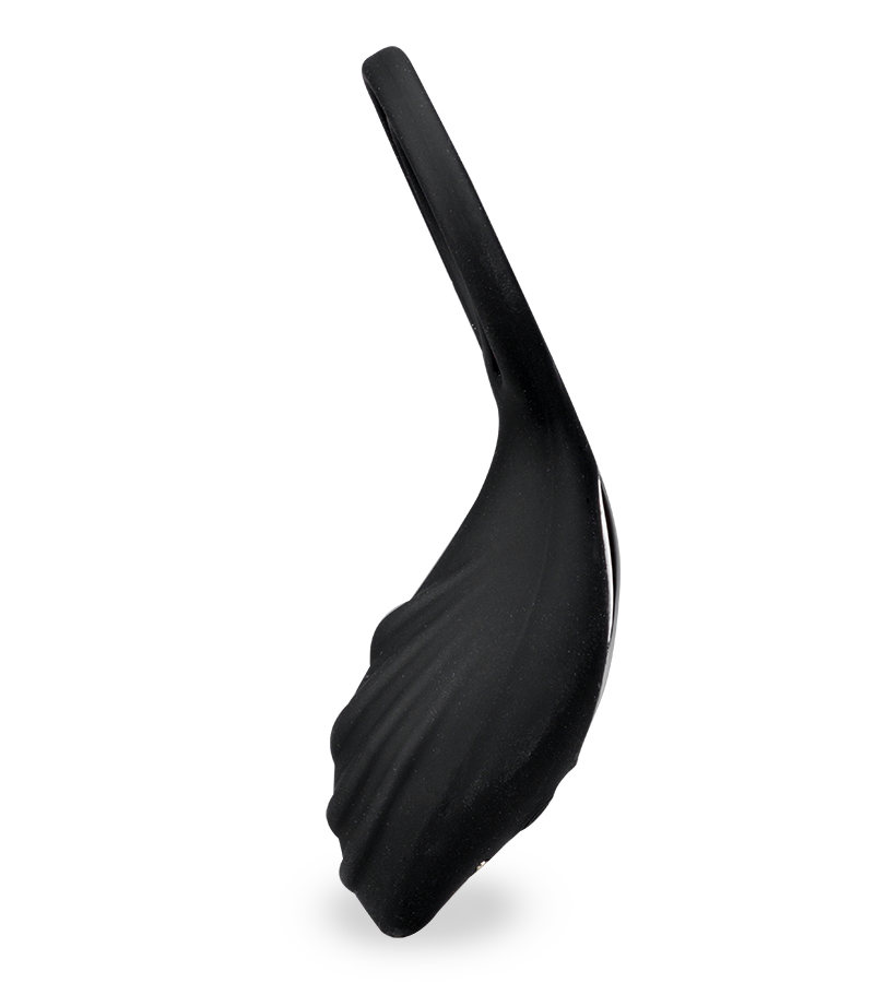 Ferngesteuerter Vibrator mit Penis- und Hodenring für Paare