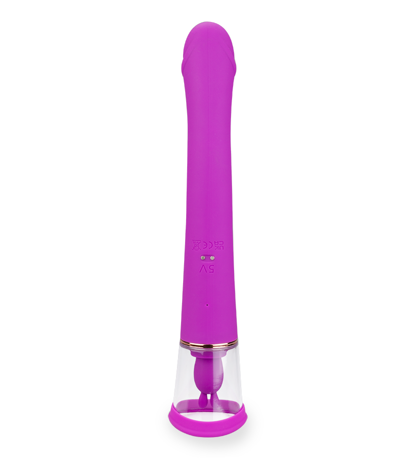 Rabbit-Vibrator mit Vagina-Pumpe Fine