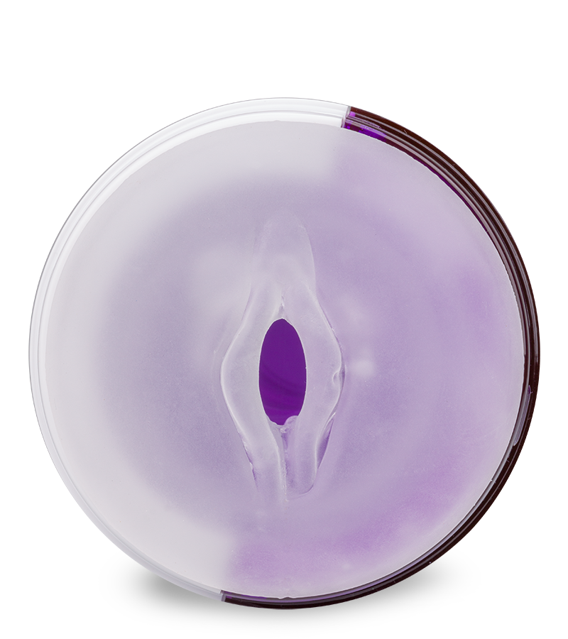 Stoßmasturbator mit 10 Modi Imperial