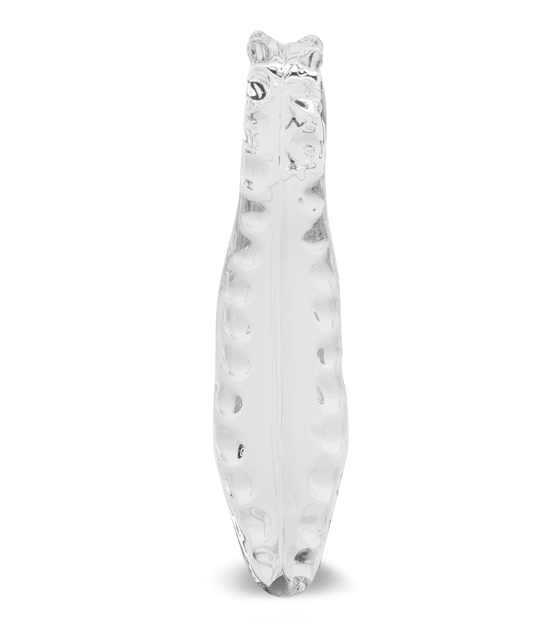 Tentakel-Dildo aus Glas